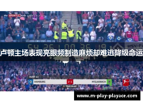 卢顿主场表现亮眼频制造麻烦却难逃降级命运